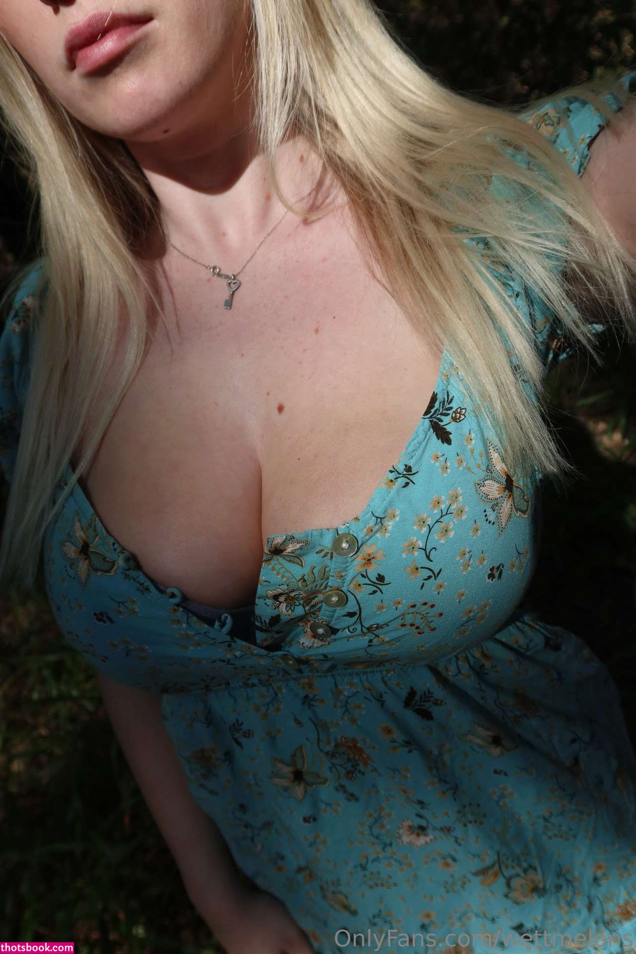 Wettmelons Photo #870