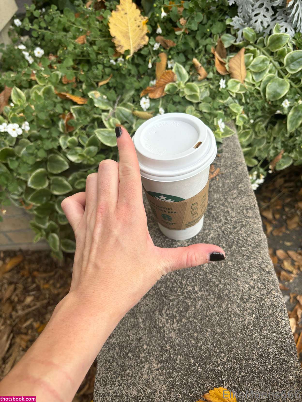 elliemoons999 Photo #36