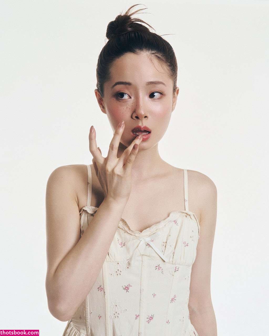 Pomegranate Jh Photo #14