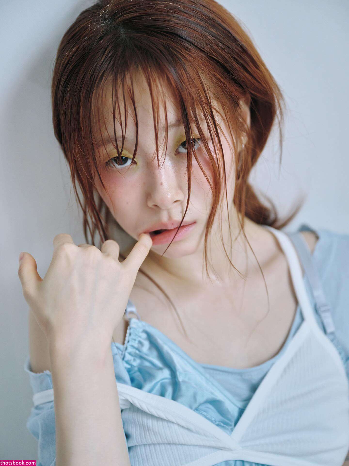 Pomegranate Jh Photo #37