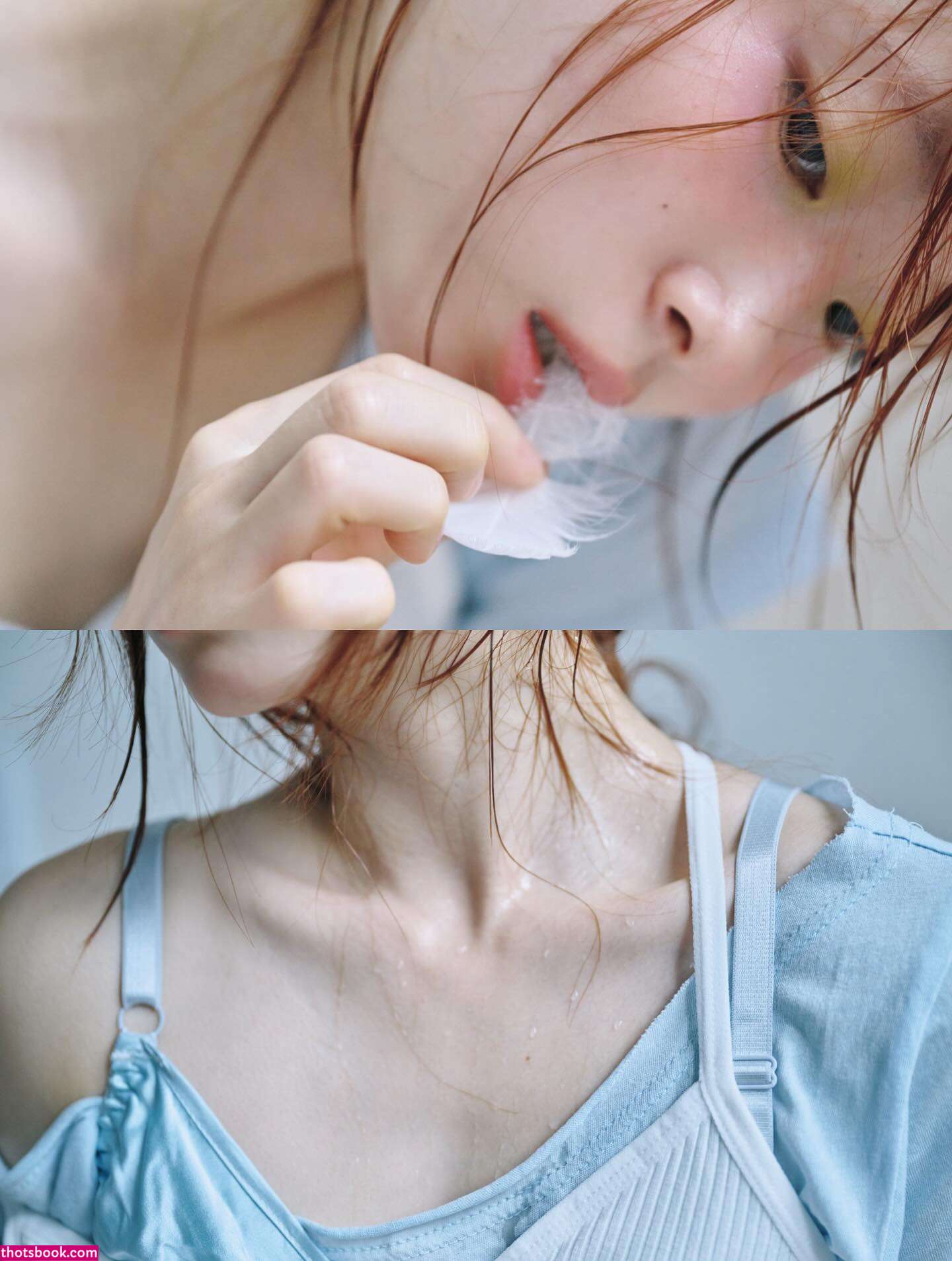 Pomegranate Jh Photo #42