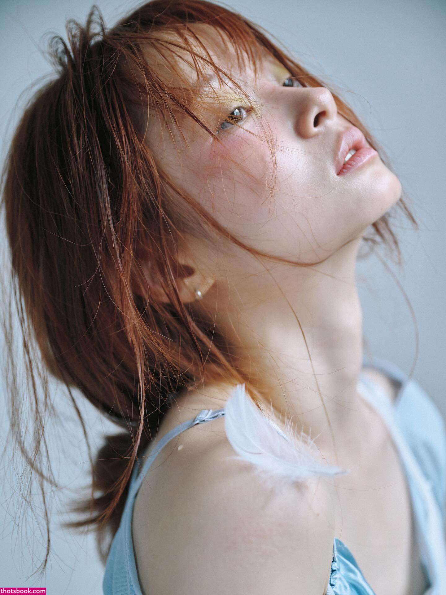 Pomegranate Jh Photo #50