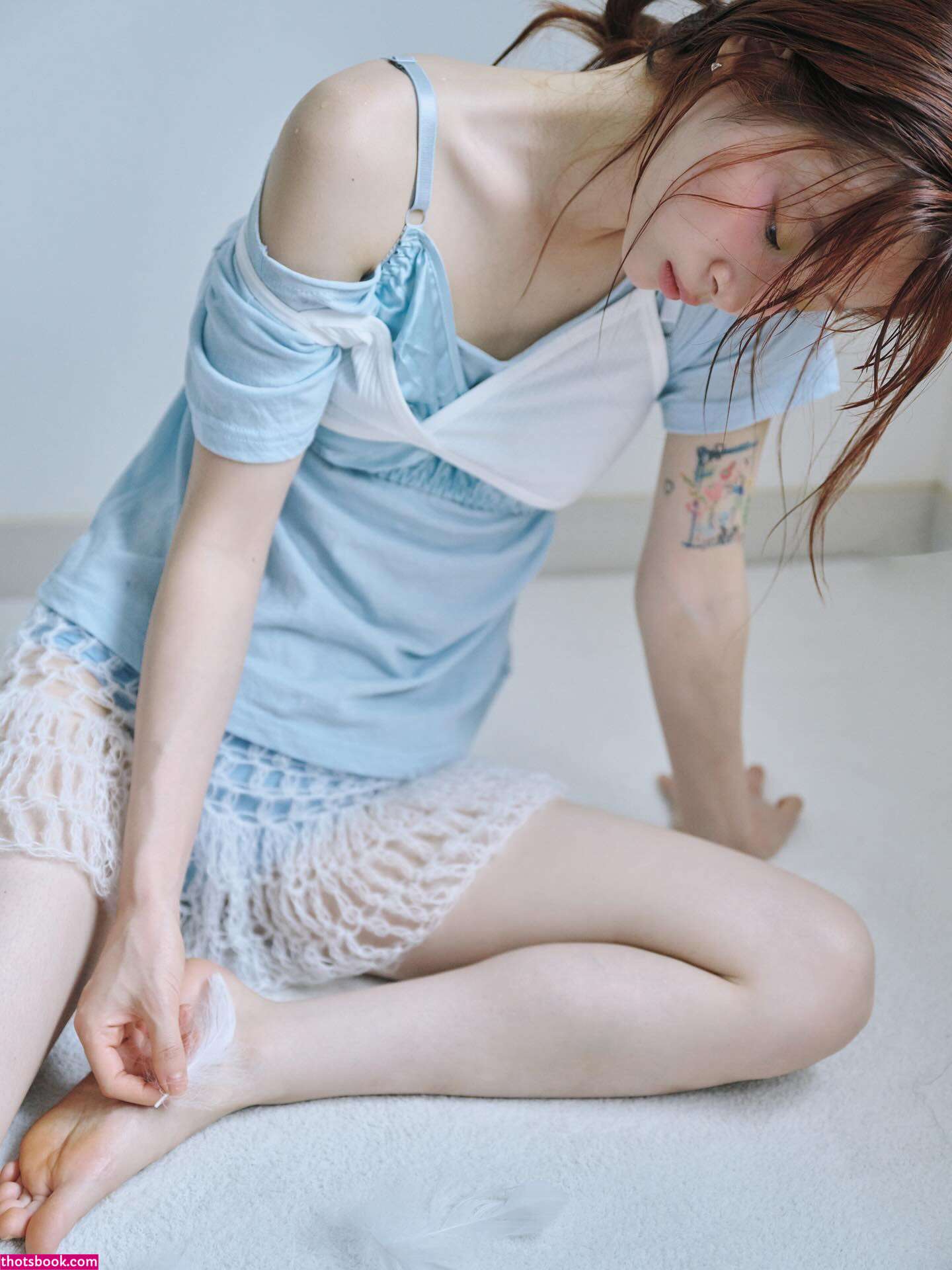 Pomegranate Jh Photo #57