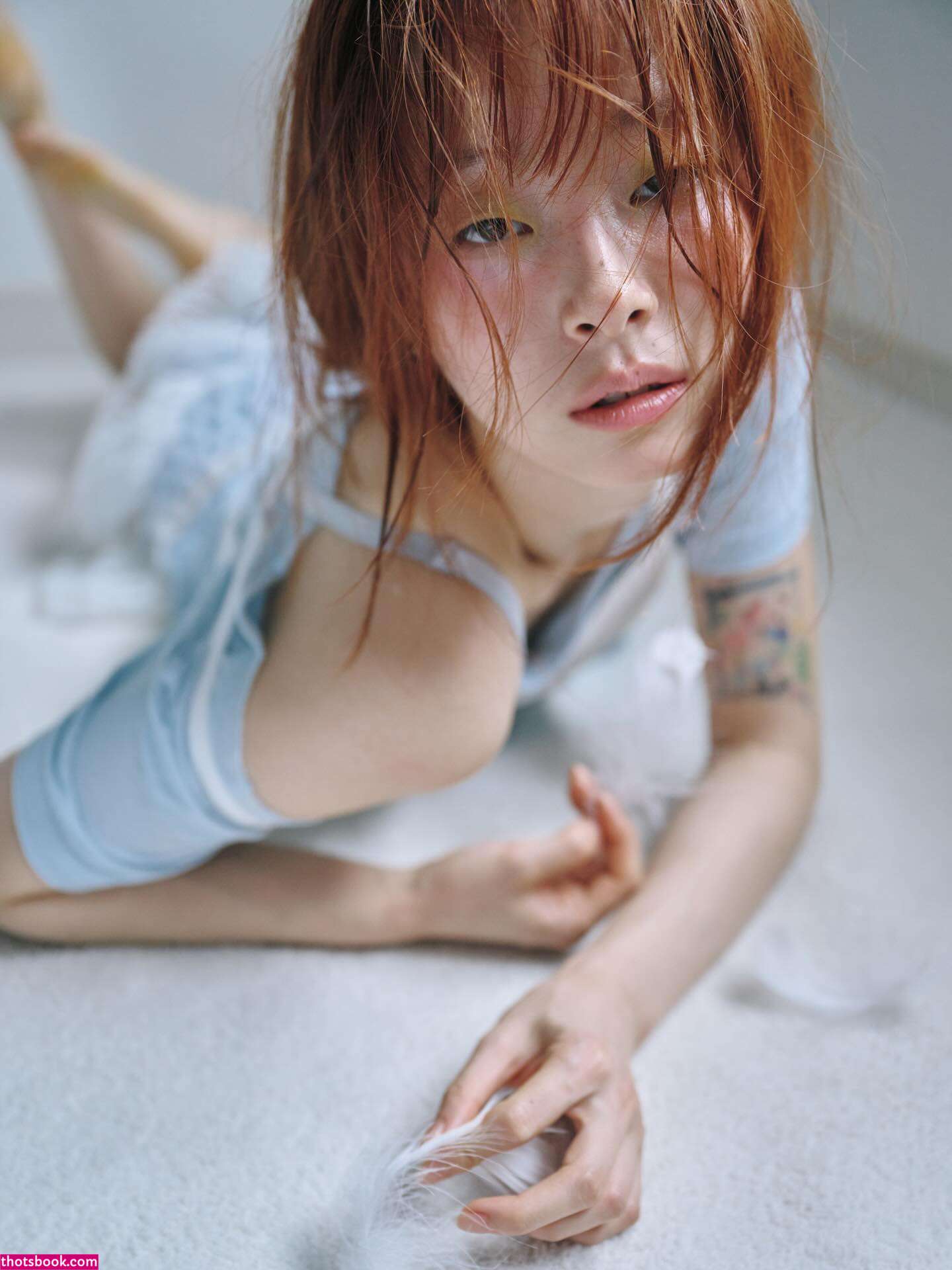 Pomegranate Jh Photo #58