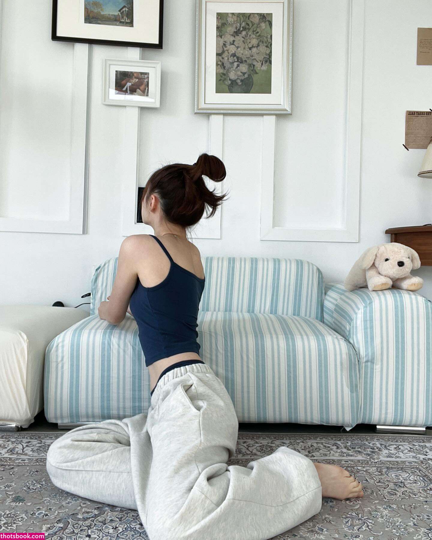 Pomegranate Jh Photo #63