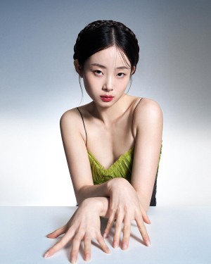 Pomegranate Jh Photo #29