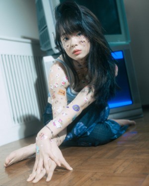 Pomegranate Jh Photo #44