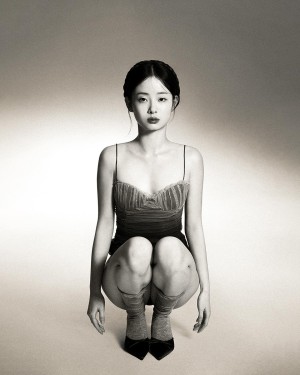 Pomegranate Jh Photo #46