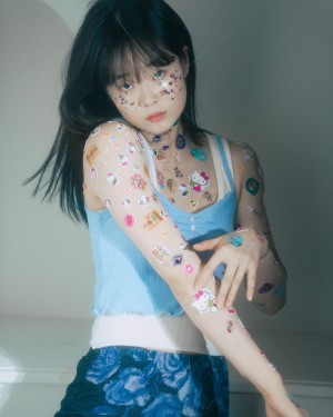 Pomegranate Jh Photo #49