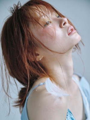 Pomegranate Jh Photo #50