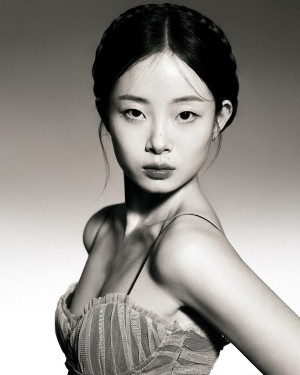 Pomegranate Jh Photo #56