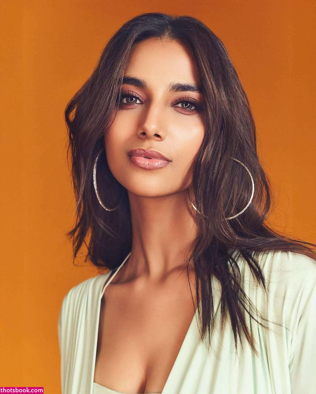 Meenakshi Chaudhary Photo #18