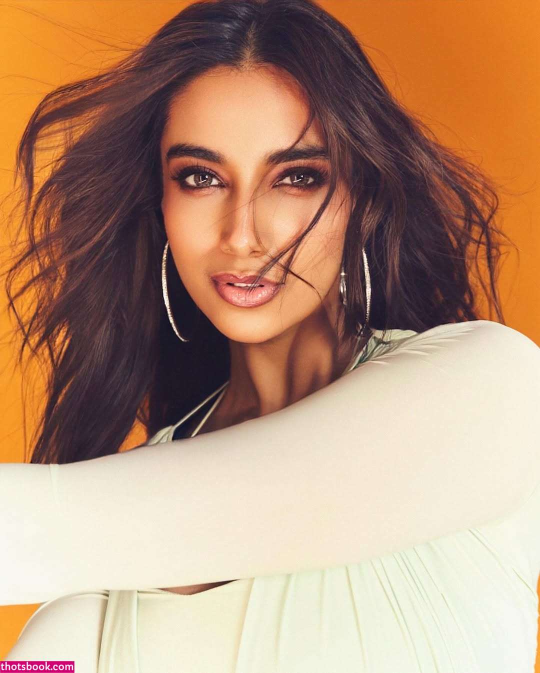 Meenakshi Chaudhary Photo #20