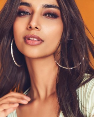 Meenakshi Chaudhary Photo #17