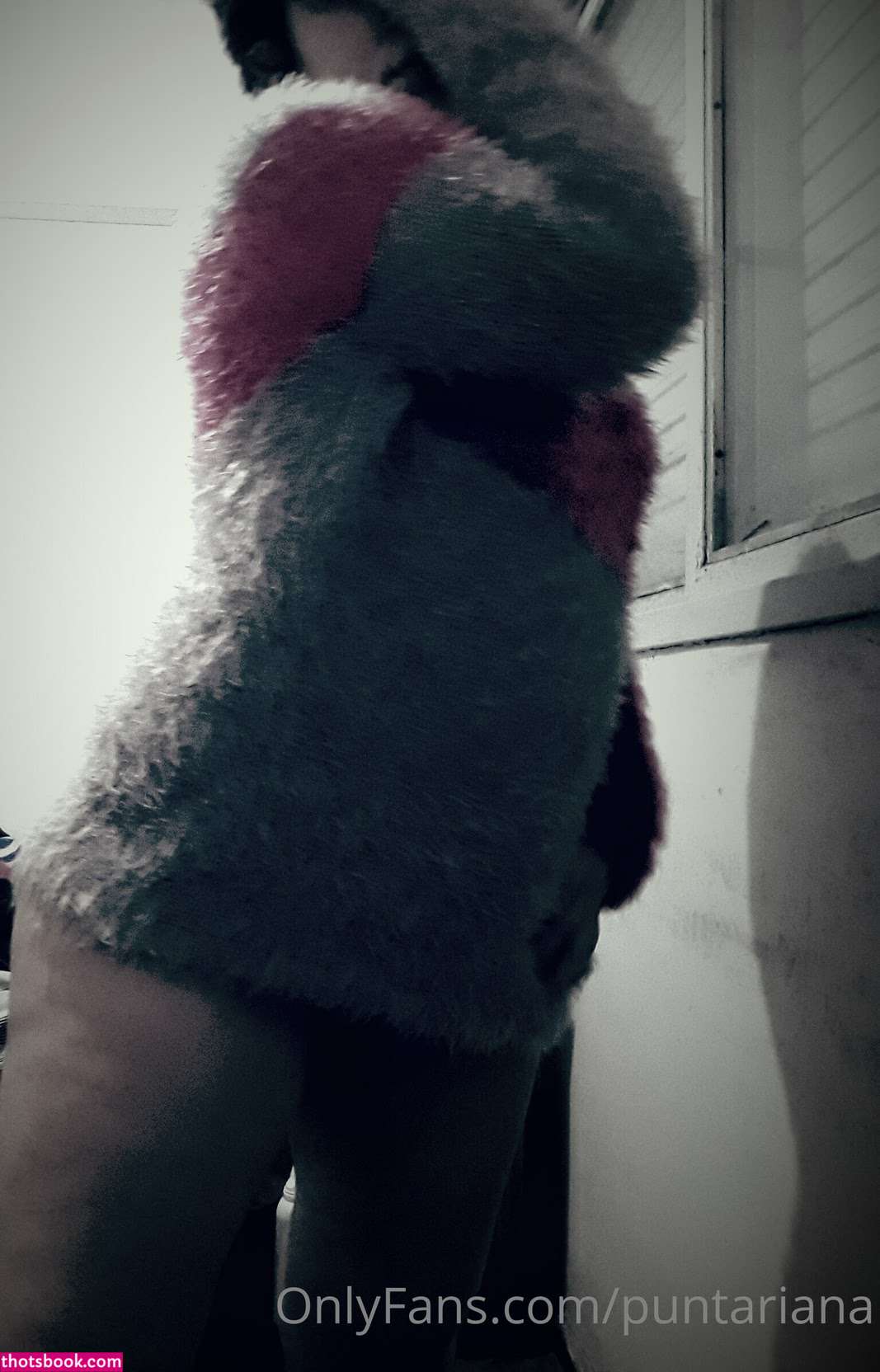 puntariana Photo #24