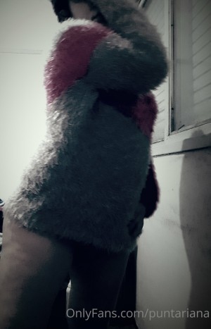 puntariana Photo #24