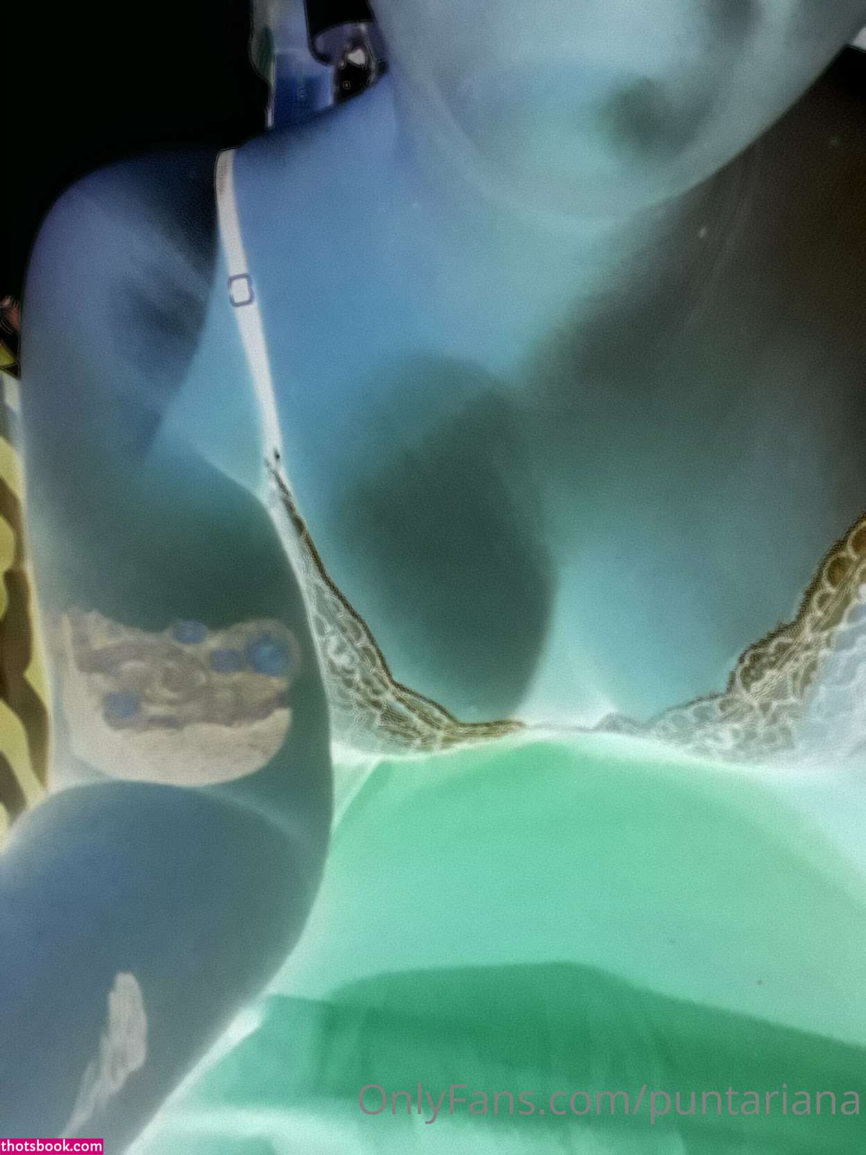 puntariana Photo #31