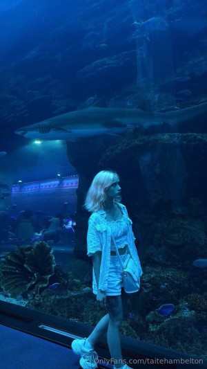 taitehambelton Photo #4