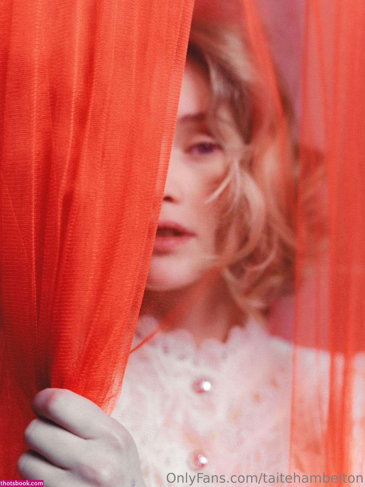 taitehambelton Photo #15