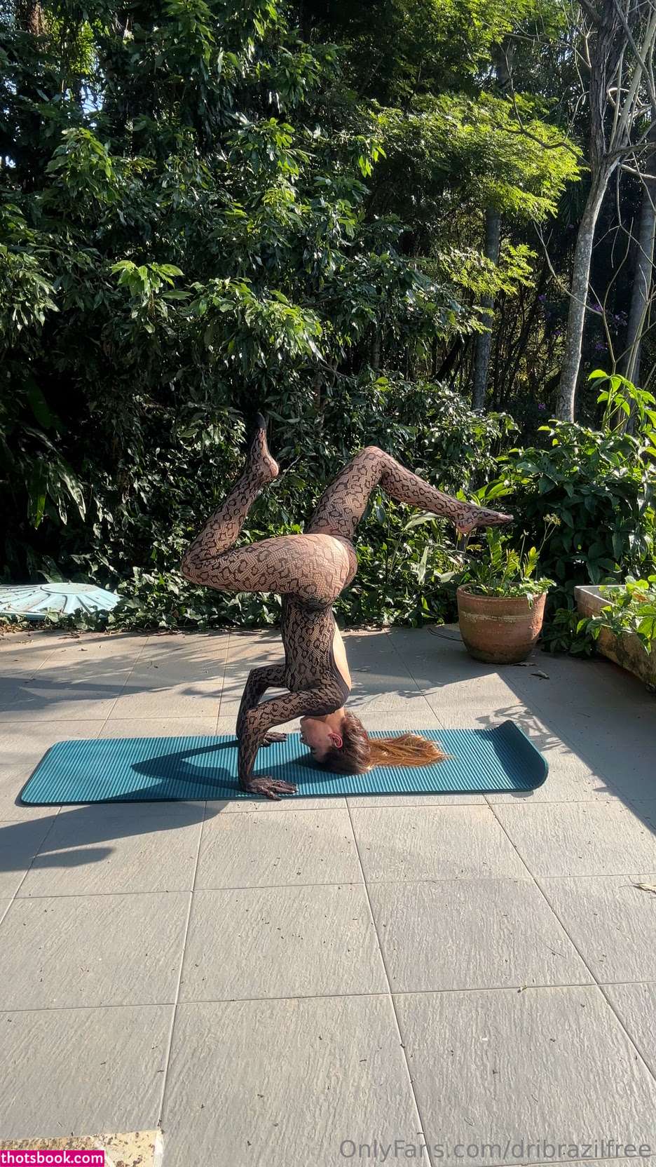 dribrazilfree Photo #19