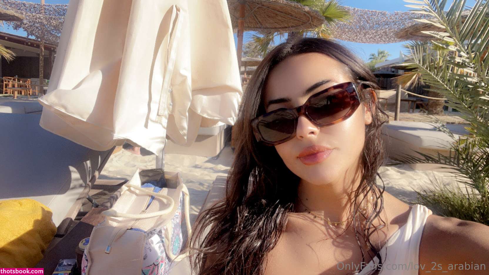 Lov 2S Arabian Photo #6