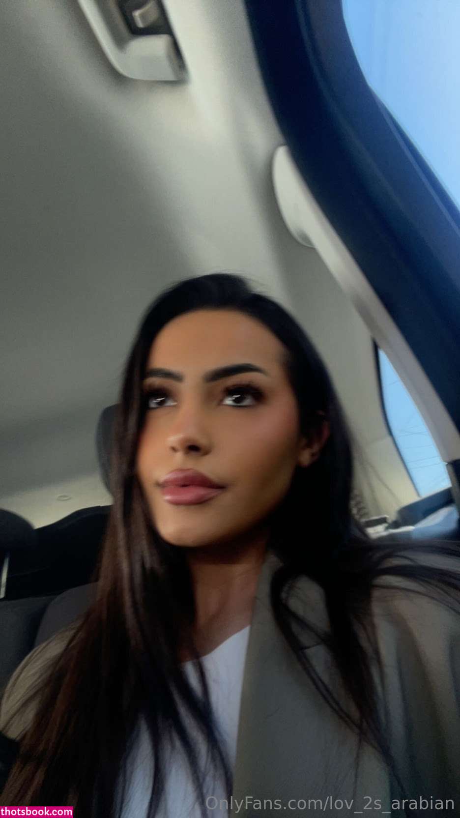 Lov 2S Arabian Photo #8