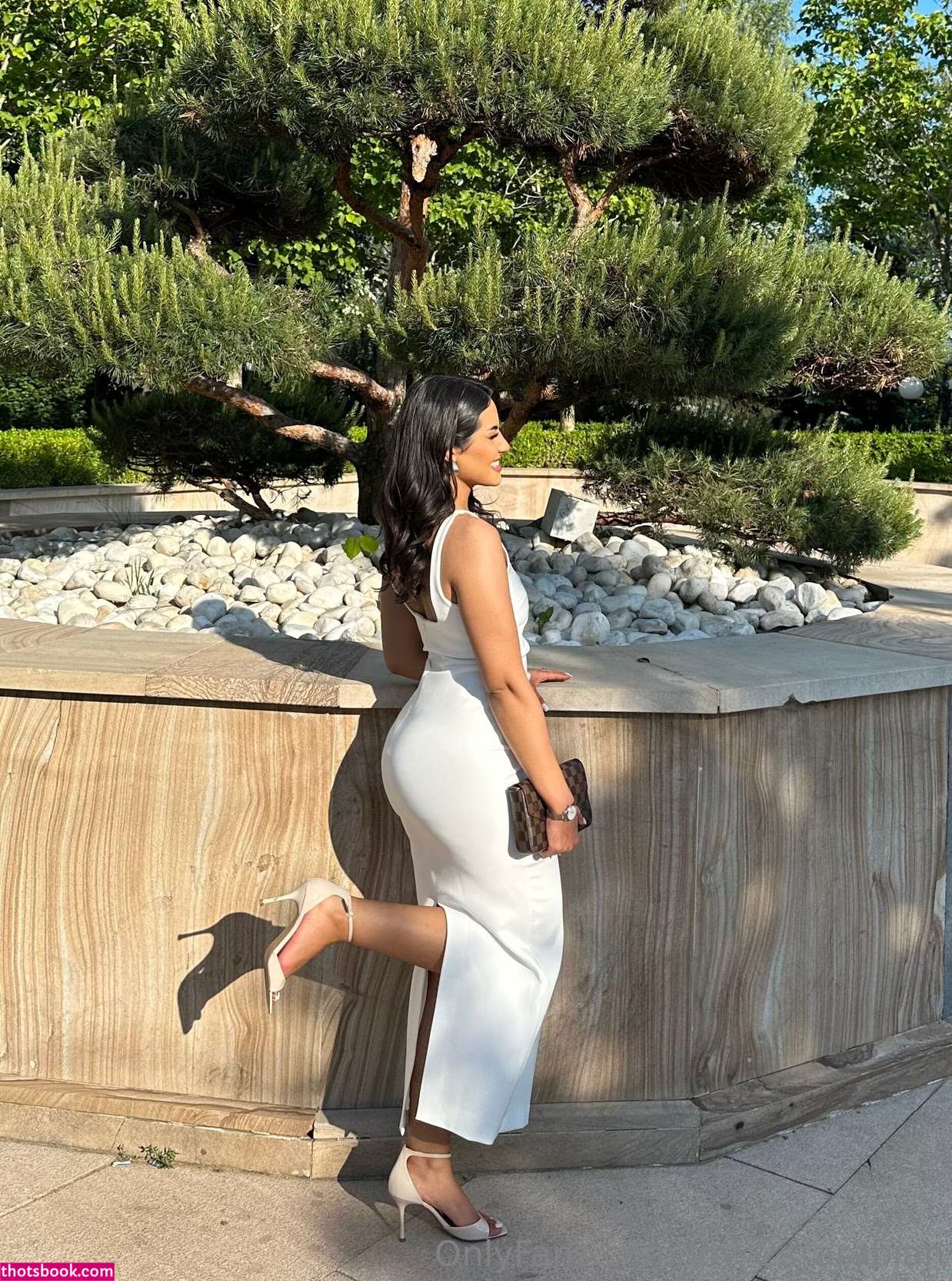 Lov 2S Arabian Photo #11