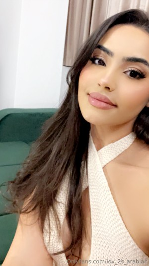 Lov 2S Arabian Photo #22