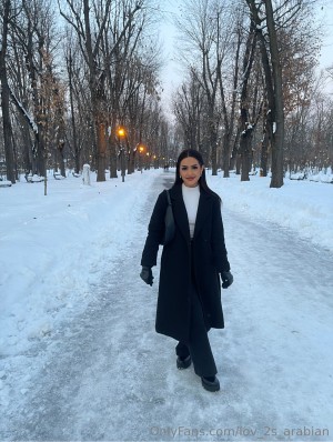 Lov 2S Arabian Photo #23