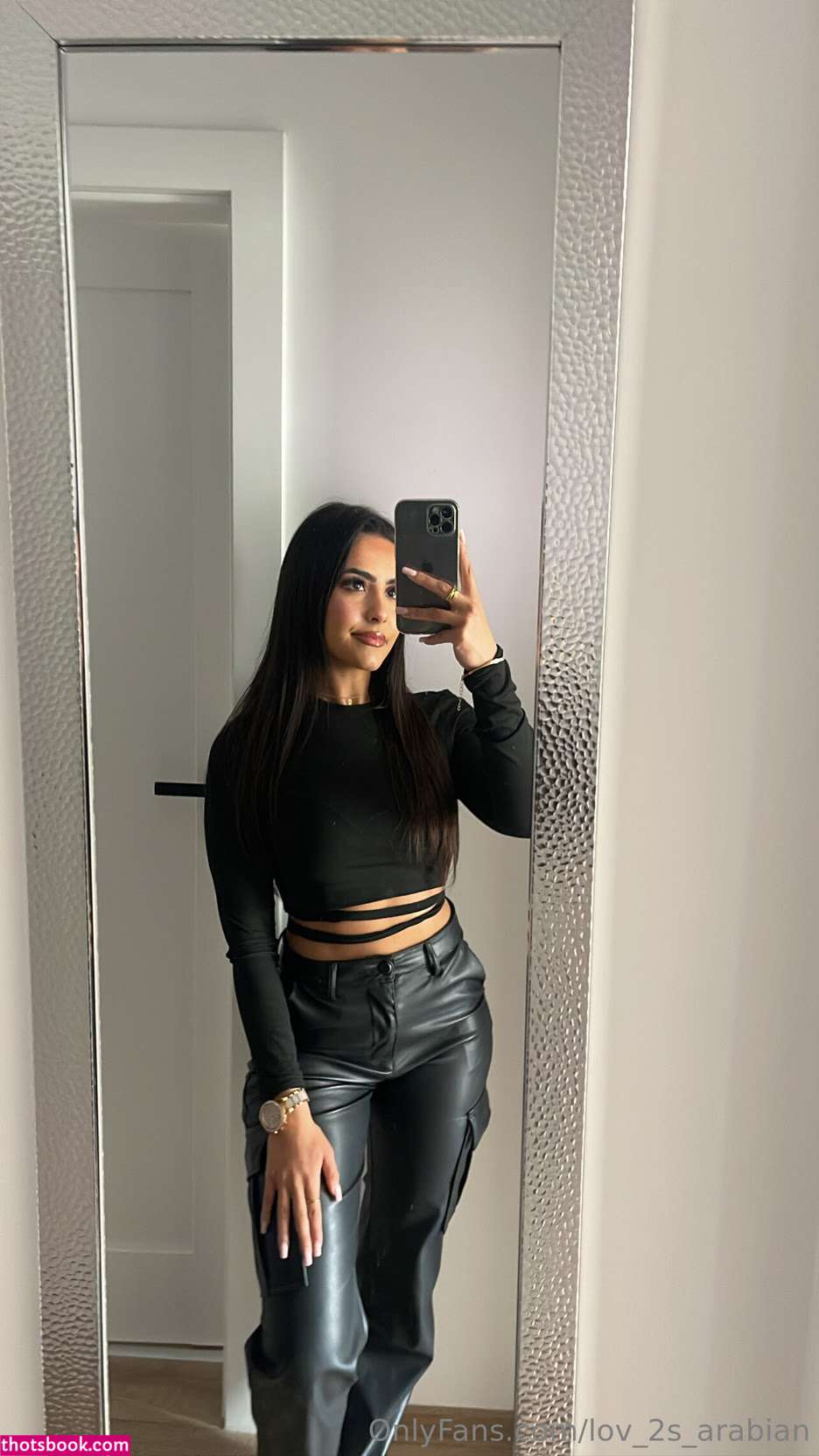 Lov 2S Arabian Photo #30