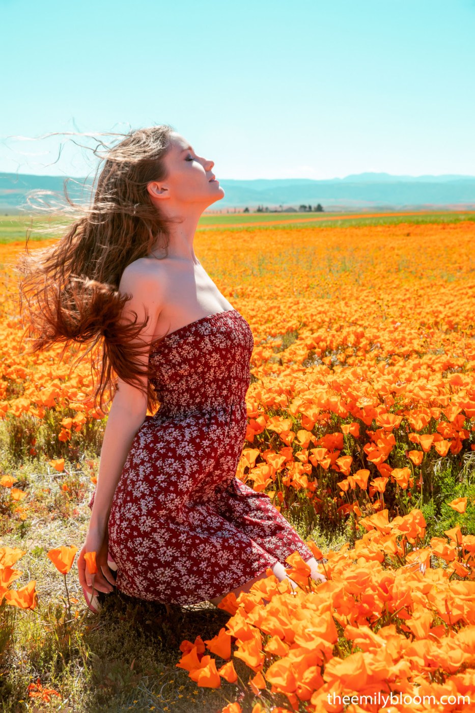 Emily Bloom Photo #1375