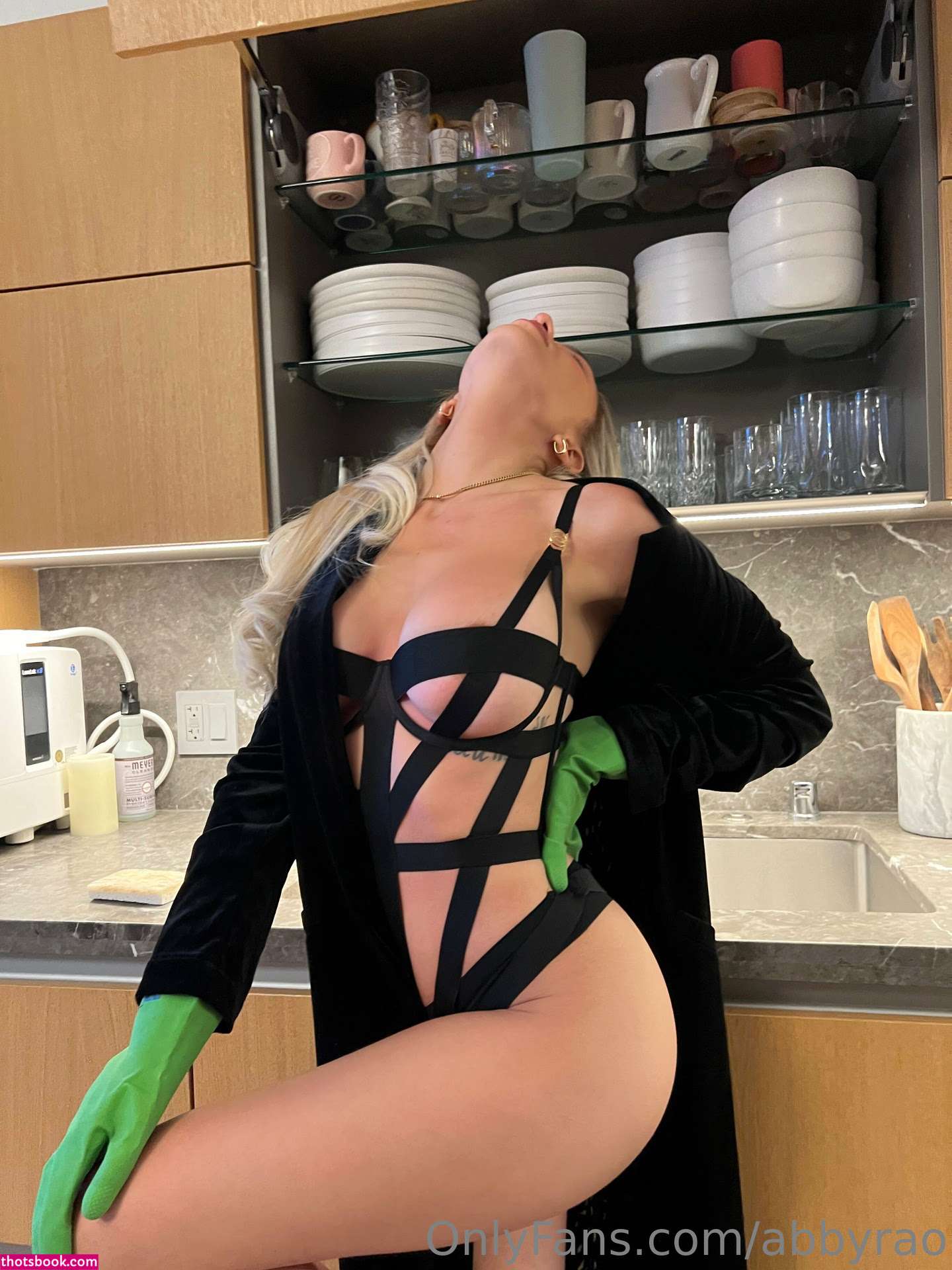 Abby Rao Nude OnlyFans Photos #8 687553