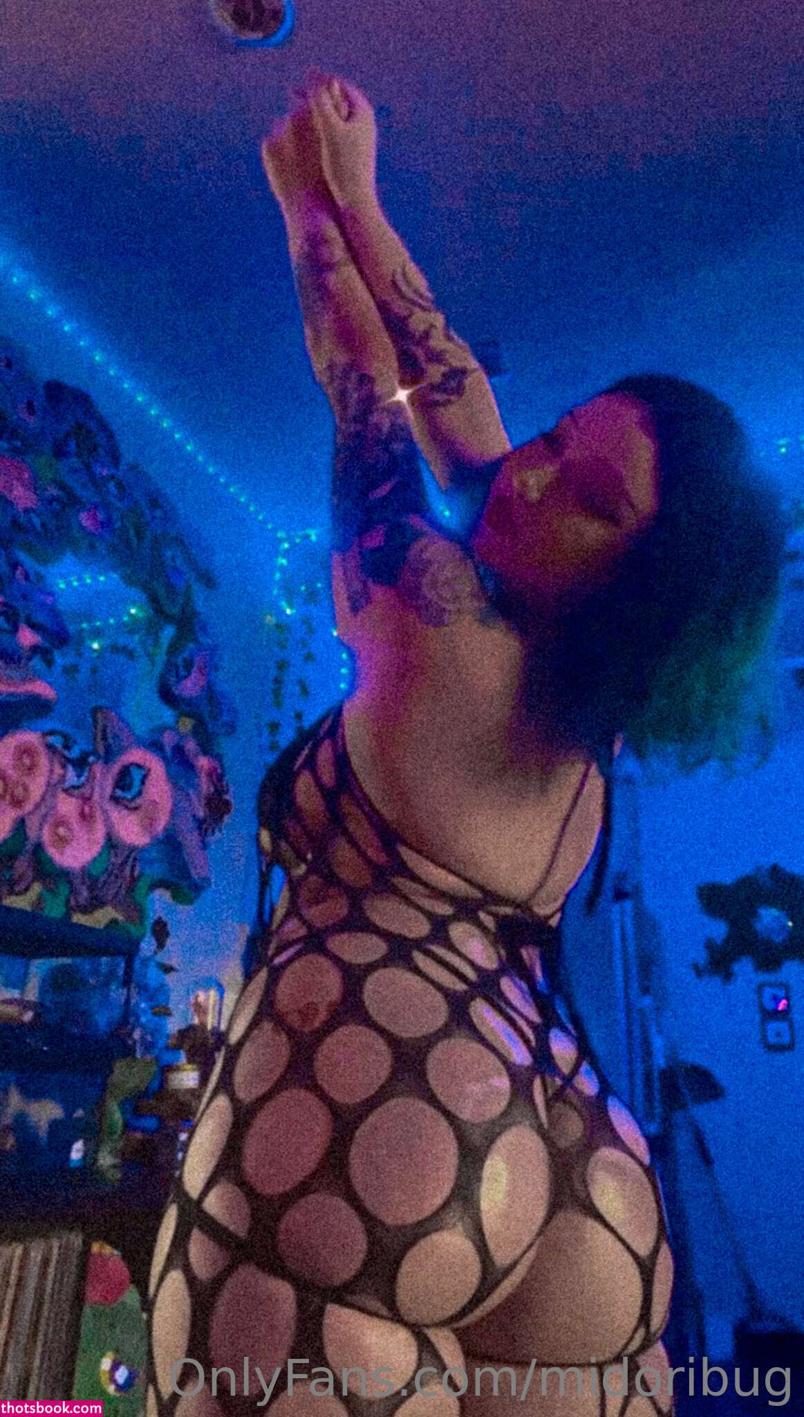 Midoribug Nude OnlyFans Photos #10 678335