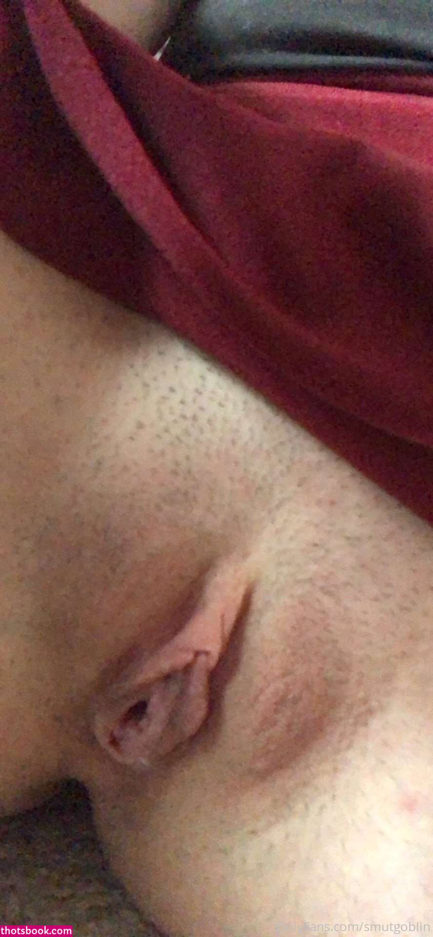 Smutgoblin Nude Leaks OnlyFans Photos #1 1523095