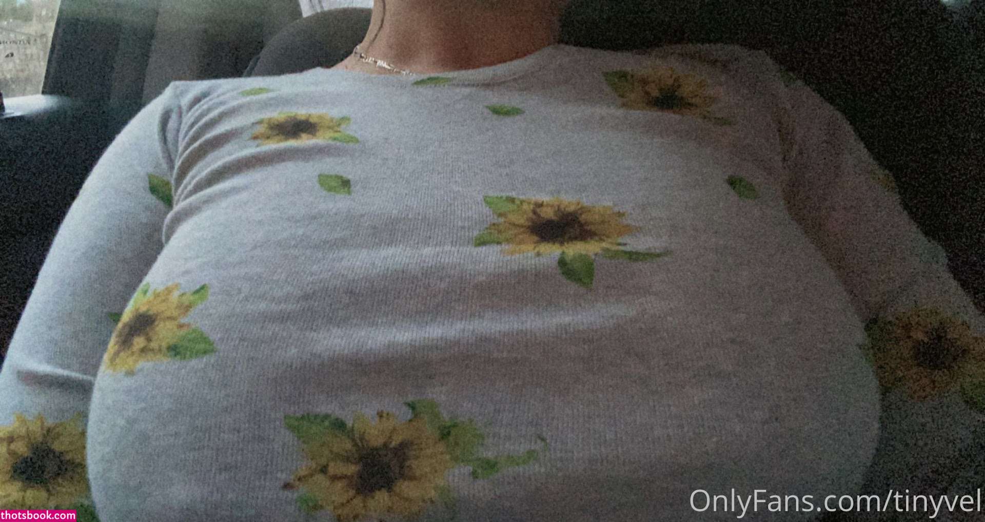 Tinyvel Nude OnlyFans Photos #4 1031756