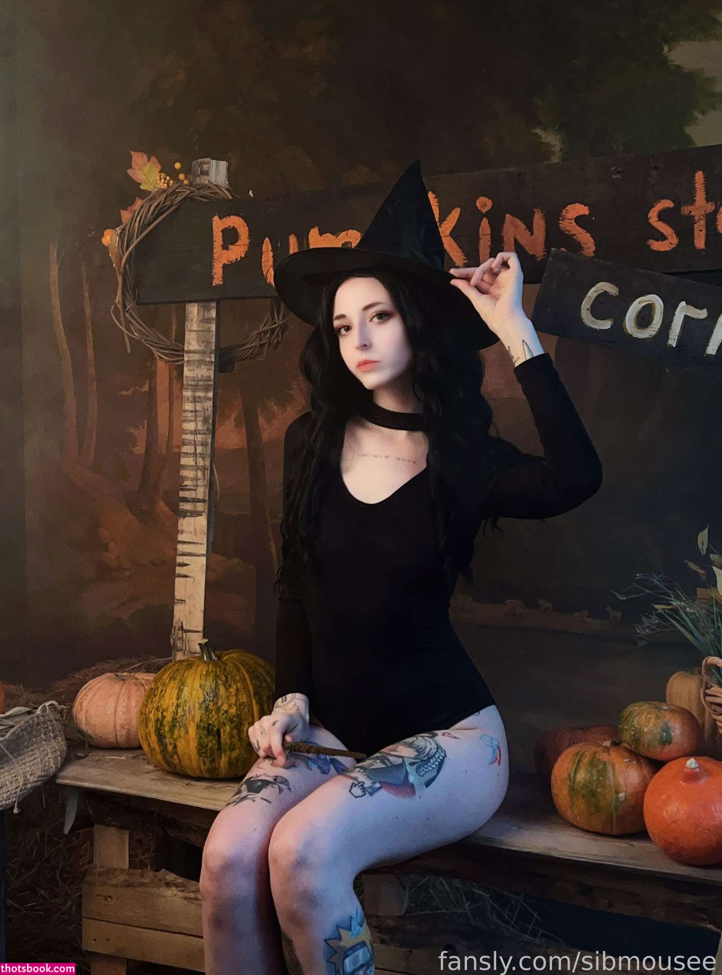 sibmouse sibmousee Nude Photos #13 462443