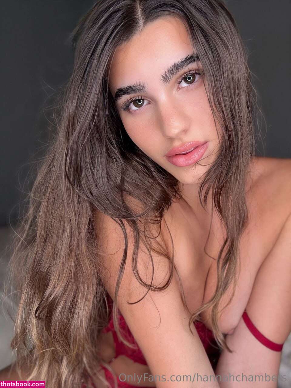 hannahchambers Nude Leaks OnlyFans Photos #4 1855558