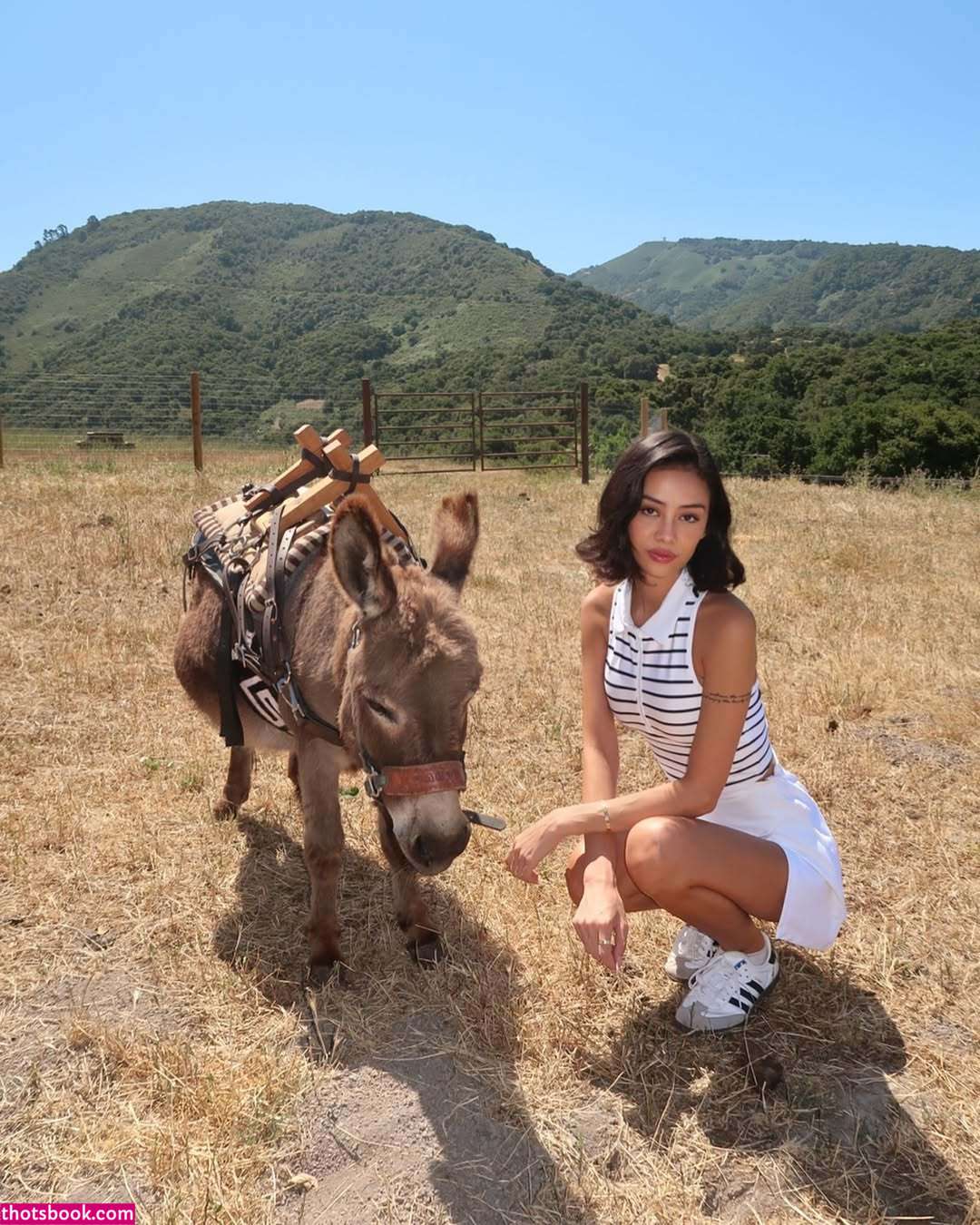 Sara Kobayashi Nude Leaks OnlyFans Photos #3 1875233