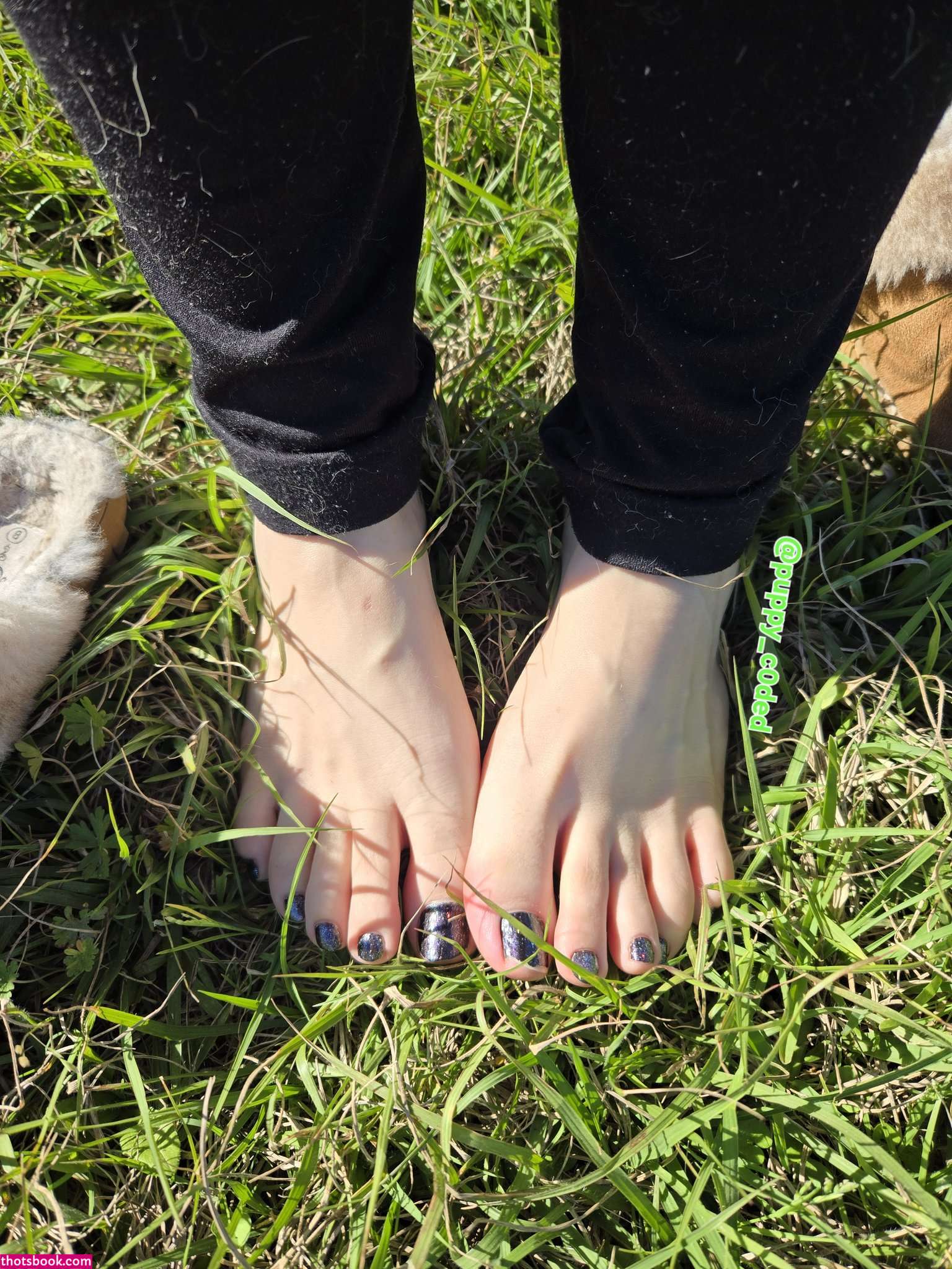 puppy c0ded puppyc0ded Nude Leaks OnlyFans Photos #3 1859559