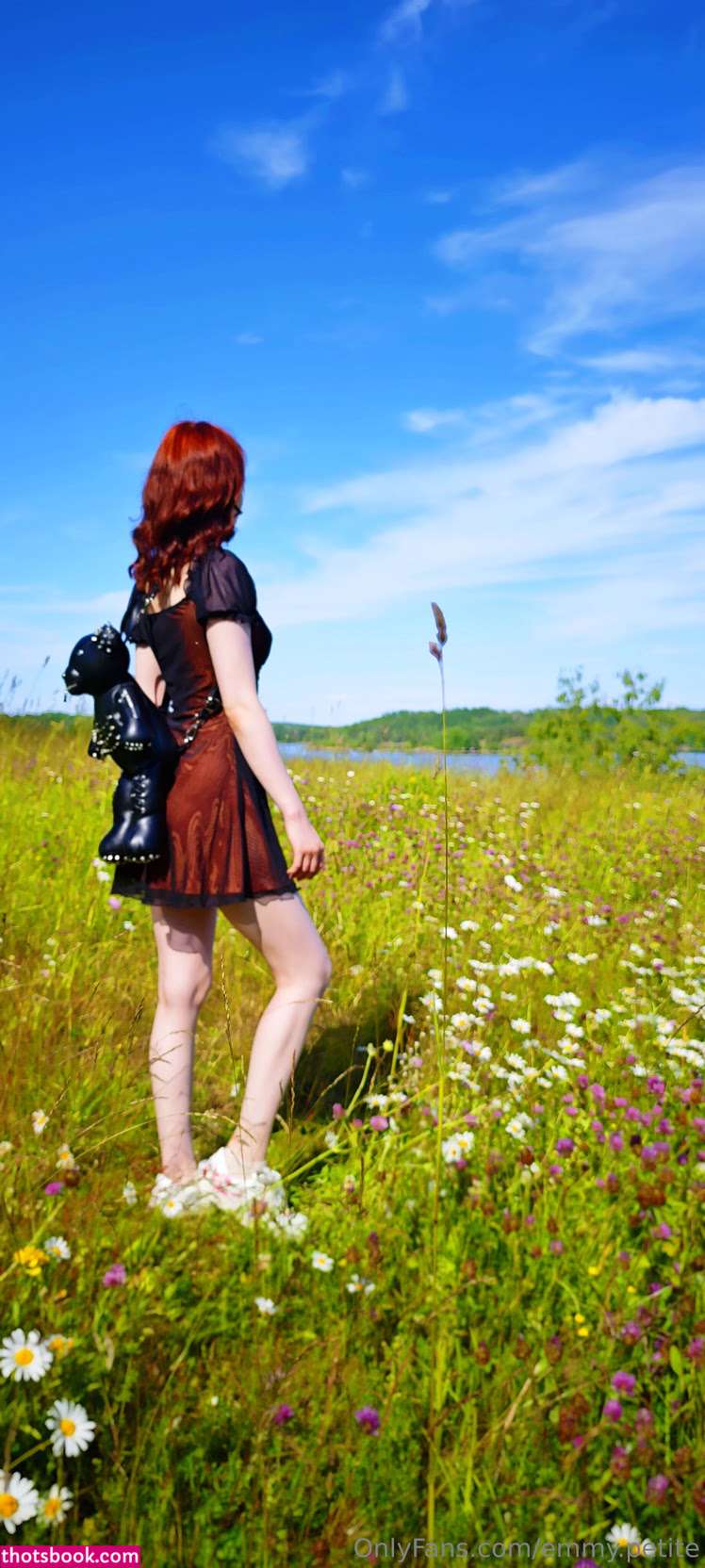 petitescandinavian04 petitescandinavianfree Nude Leaks OnlyFans Photos #3 1917948