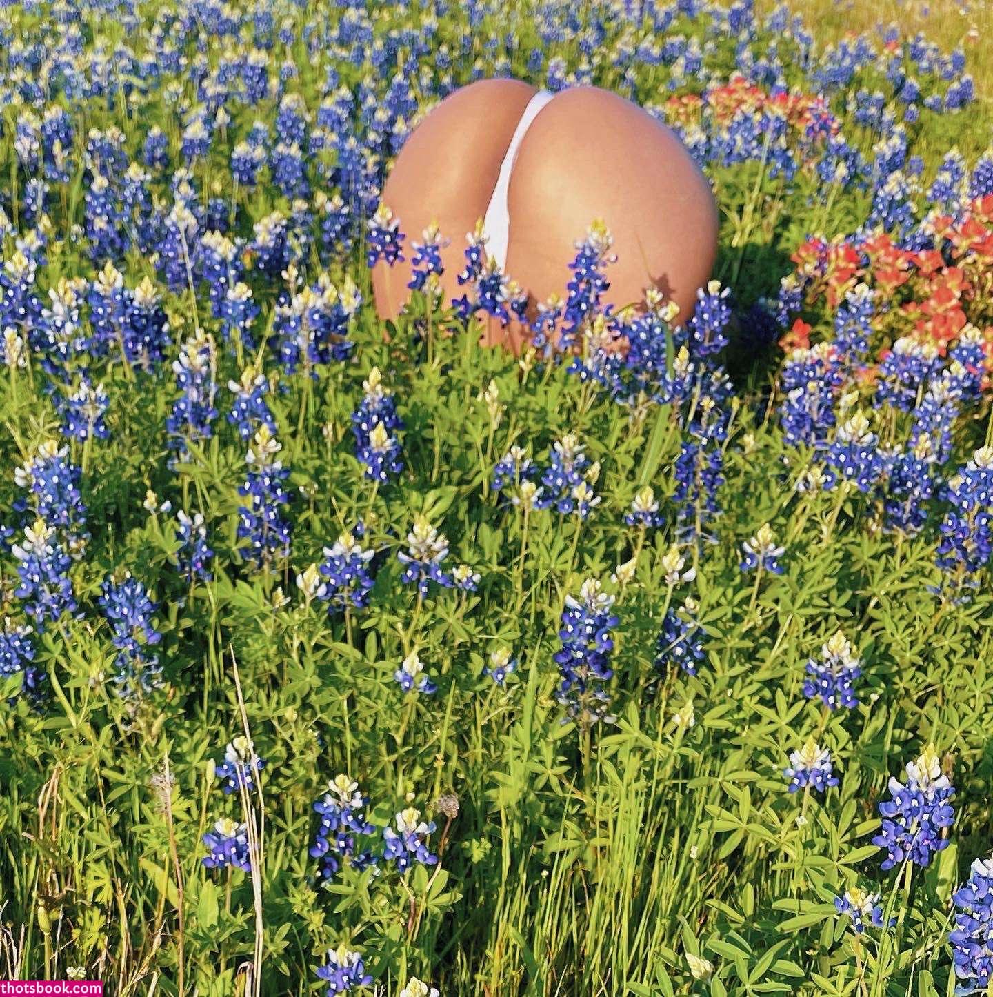 Regina Unite Nude OnlyFans Photos #1 508224