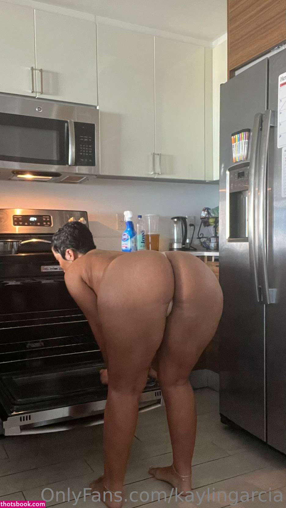Kaylin Garcia Nude Leaks OnlyFans Photos #15 1906517
