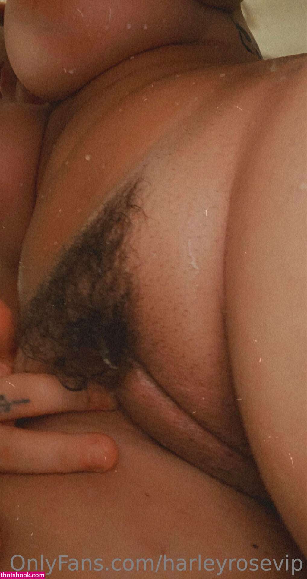 Hello Harley Rose Nude OnlyFans Photos #15 905059