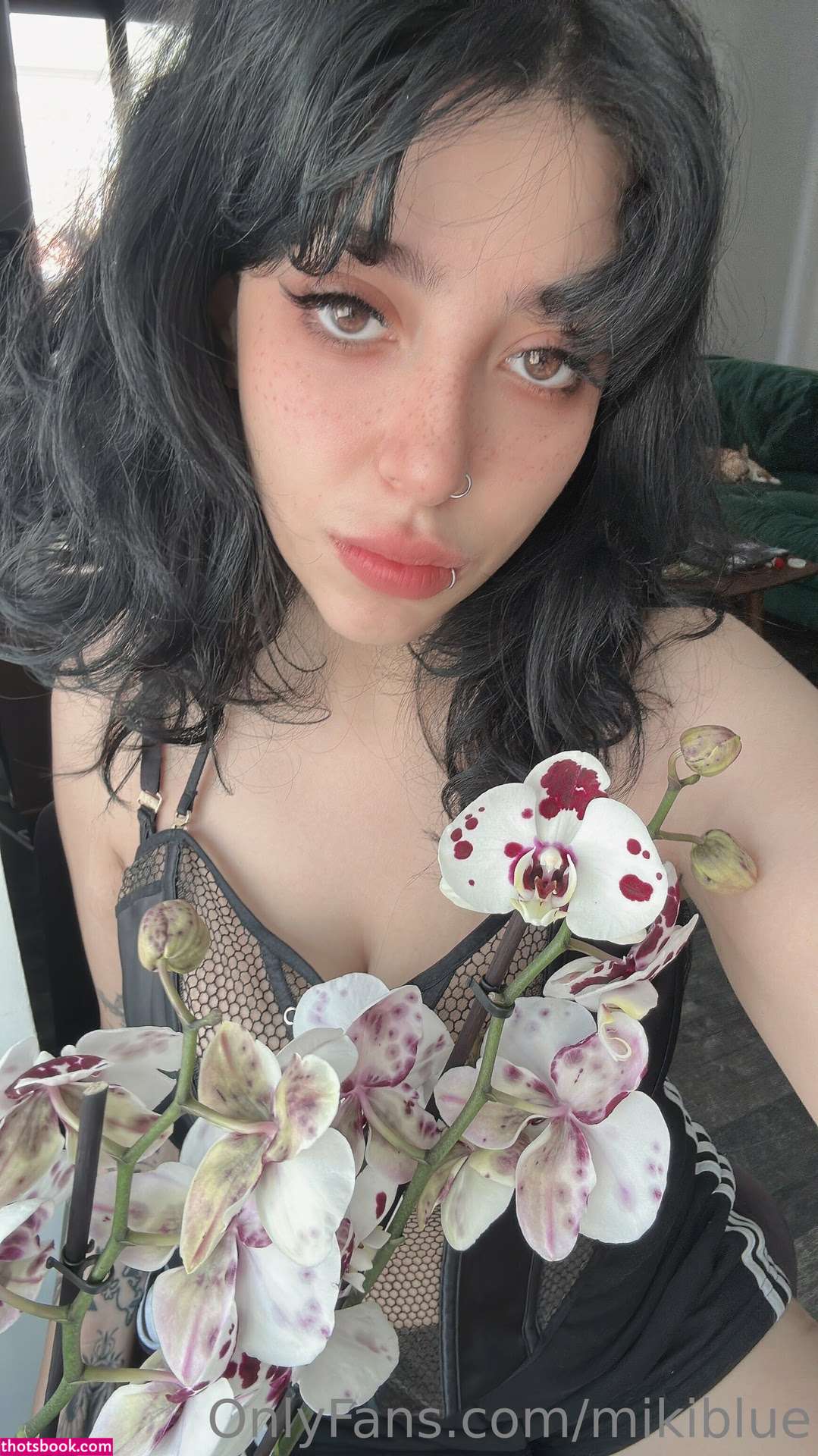 Mikiblue Nude OnlyFans Photos #19 840620