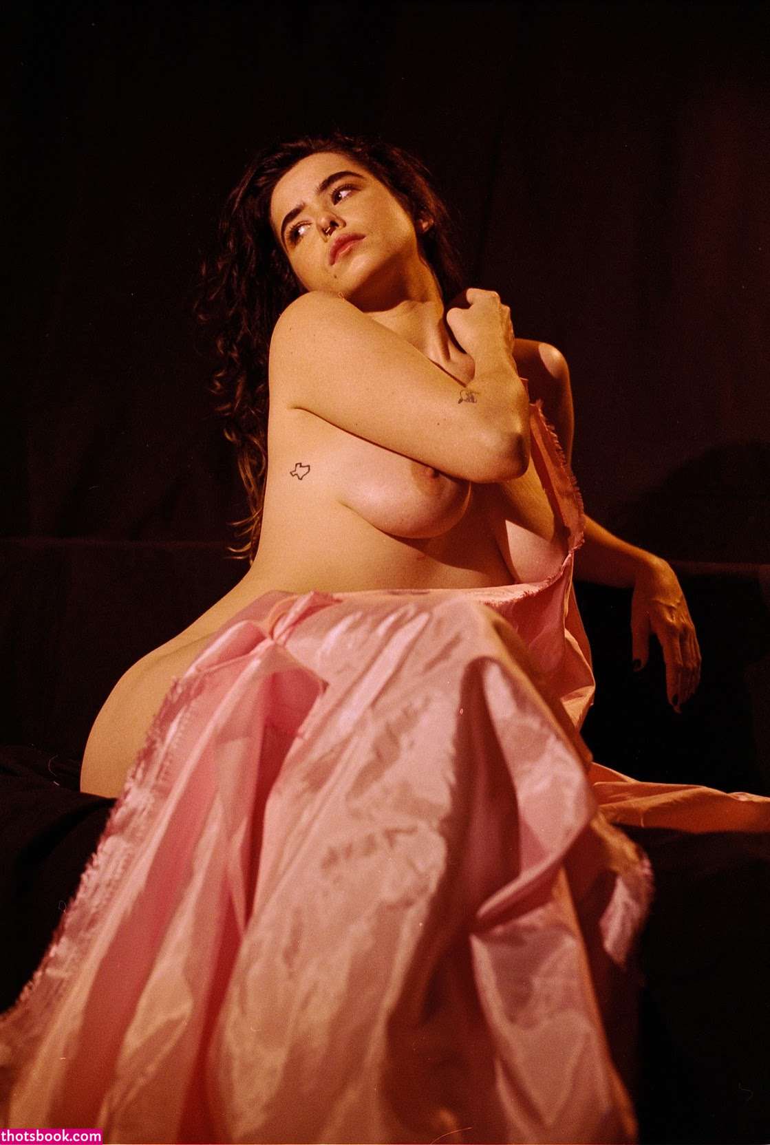 bendynakedhipp HippUncensored Nude Leaks Onlyfans Photos #2 1945855