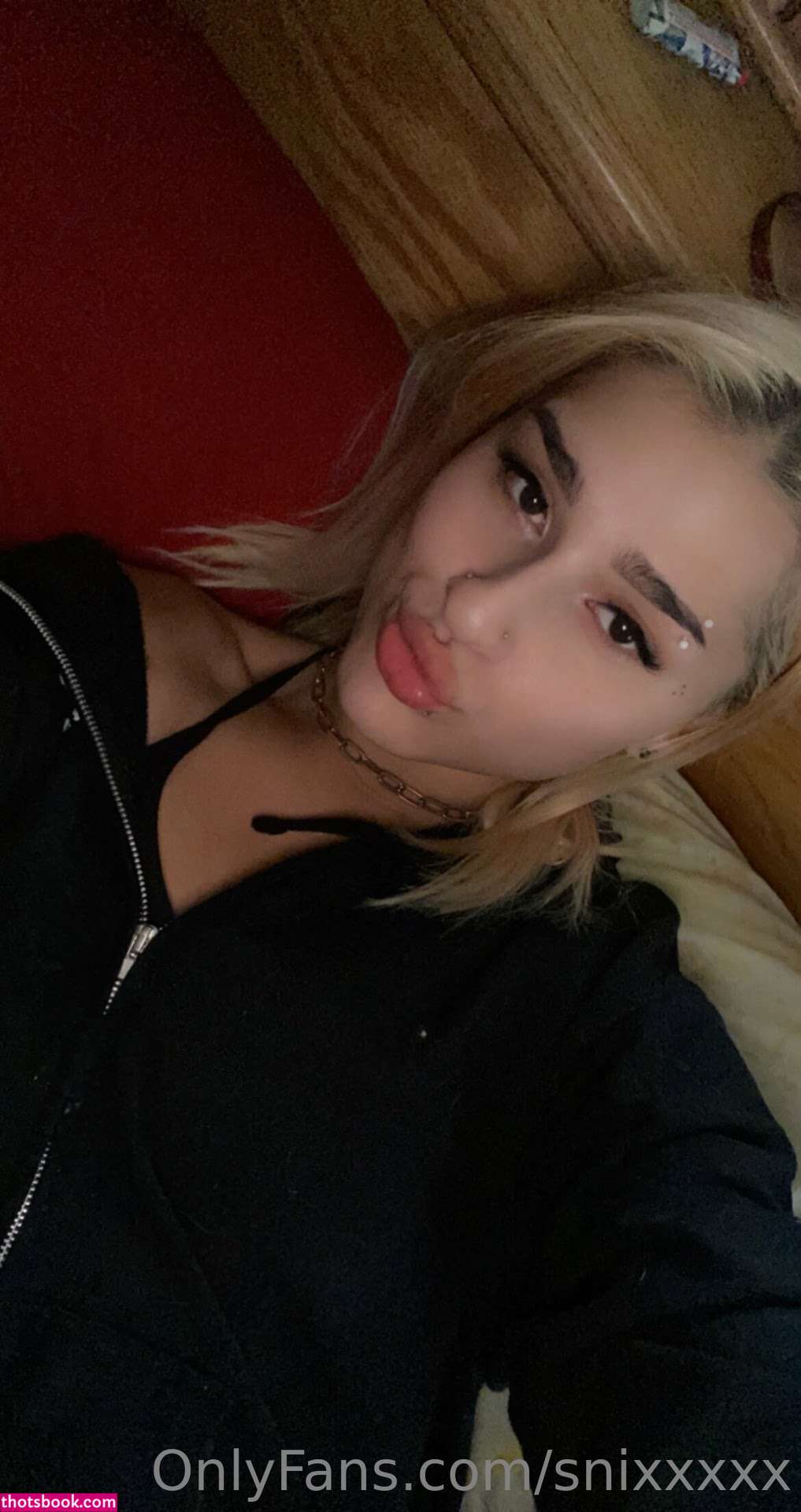 Snixxxxx Nude OnlyFans Photos #12 1246247