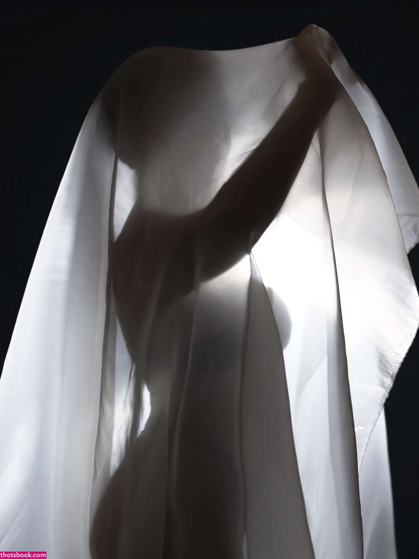 Fa shadows Nude Leaks OnlyFans Photos #4 1840447