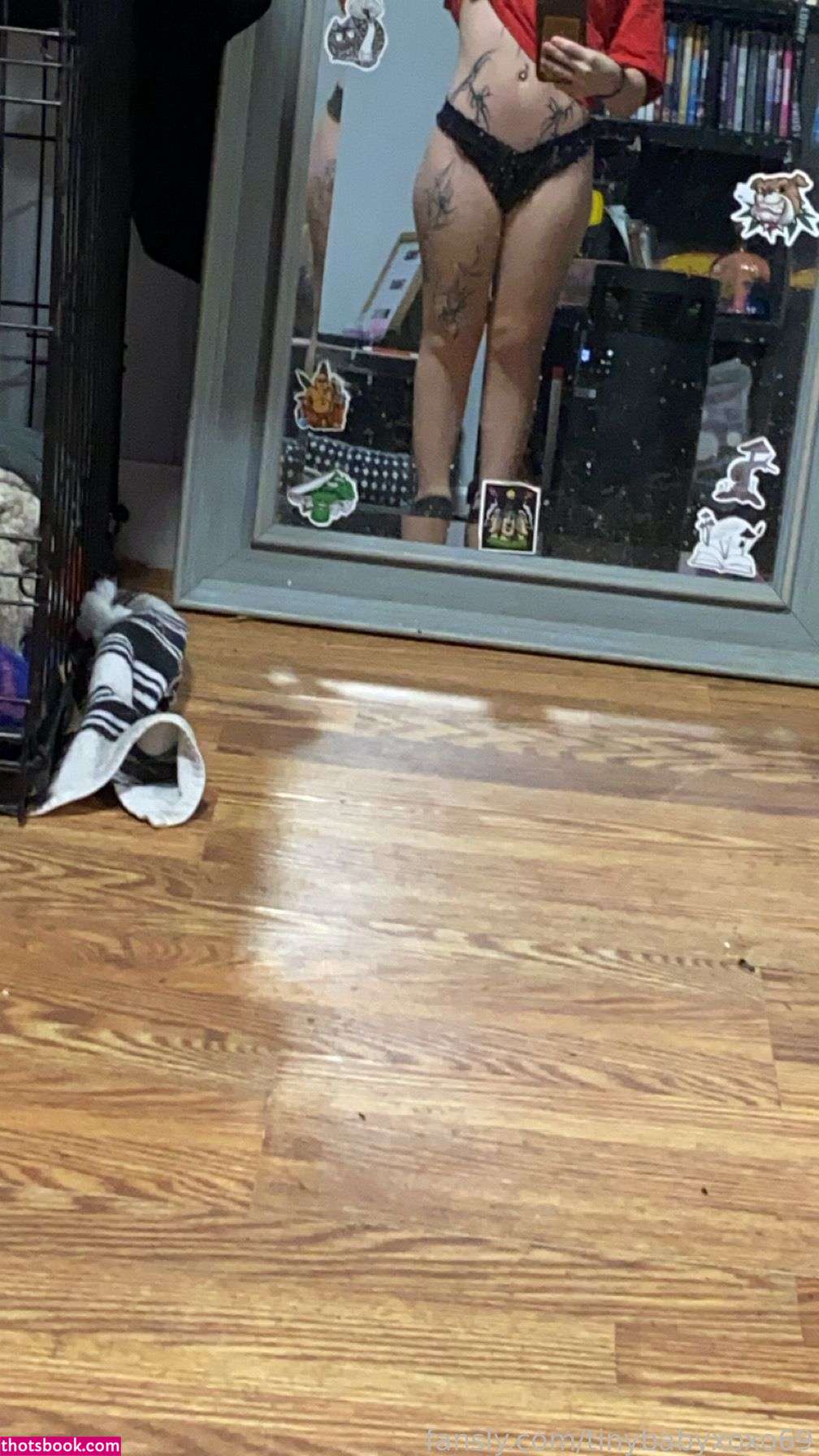 tinybabyxoxo69 Nude Leaks OnlyFans Photos #4 1844256