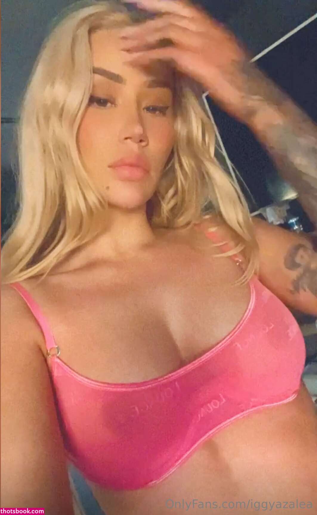 Iggy Azalea Nude OnlyFans Photos #17 371482