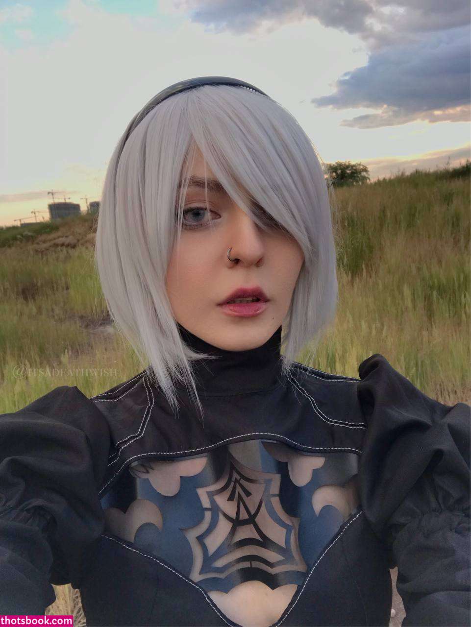 itsadeathwish  itsadeathwishtoo  hellagaaay Nude OnlyFans Photos #5 364636